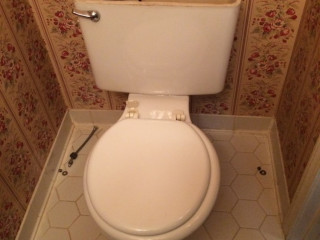 toilet_replacement (4).JPG